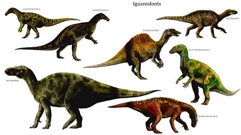 Все известные виды динозавров с названиями и фото