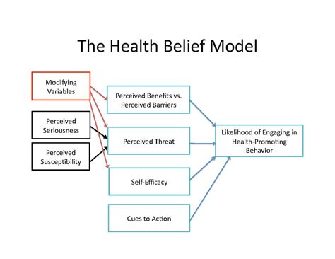 health belief model framework
