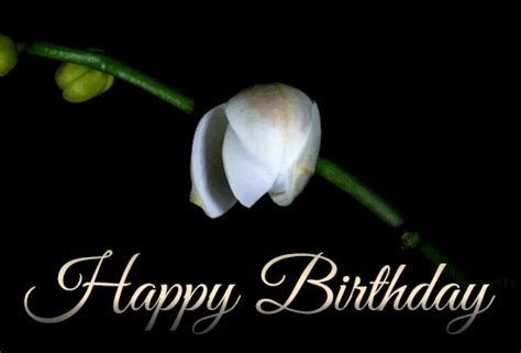 33+ flower arrangements happy birthday pics.share the best gifs now >>>. Happy Birthday Animated GIF Image Download (7) » GIF ...