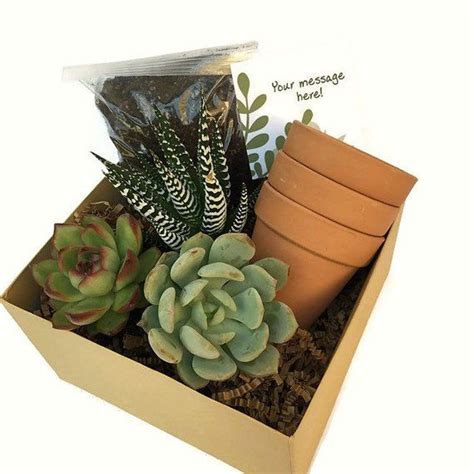 Happy birthday succulent gift box. DIY Happy Birthday Succulent Gift Box, New Home Gift ...