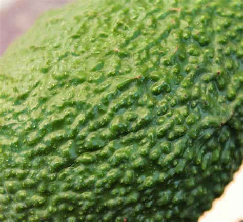 Avocado facts and health benefits