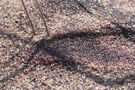 Magnetite Sands Magnetite Mineral Grains In The Sand At Mo Flickr
