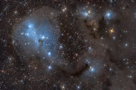 Ic2169 Blue Reflection Nebula Imaging Deep Sky Stargazers Lounge