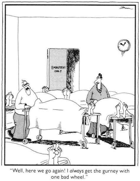 Pin By Christy Williams On Humor Far Side Comics The Far Side Gary