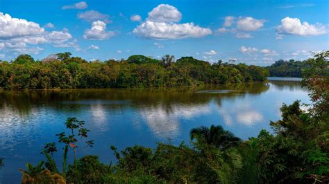 Tambopata Nature Reserve The Most Beautiful Part Of Madre D