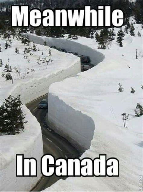Pin By Lrene Rawlings On Interesting Canada Funny Canada Memes Best