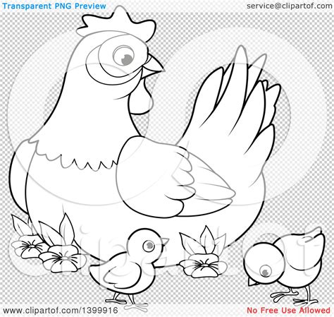 clipart of a black and white lineart mother hen chicken and chicks royalty free vector