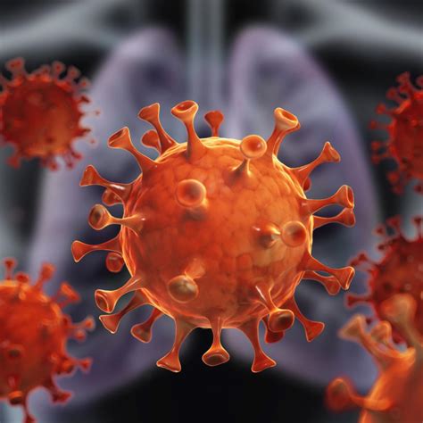 Koronavirus || BFO