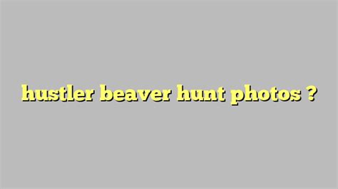 Hustler Beaver Hunt Photos C Ng L Ph P Lu T