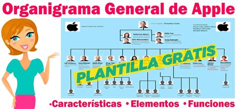 Organigrama General De Apple 2024 Características Elementos Funciones