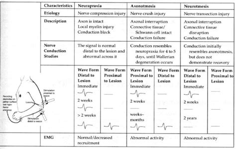 Rhb And Physical Medicine Nerve Injury Classification