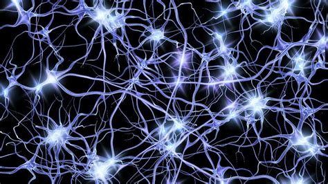 Hq Neuron Wallpapers Growth Mindset Brain Neurons 1400x788