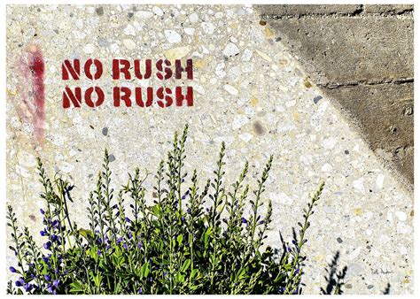 No Rush No Rush 606 Trail Bucktown Seth Anderson Flickr