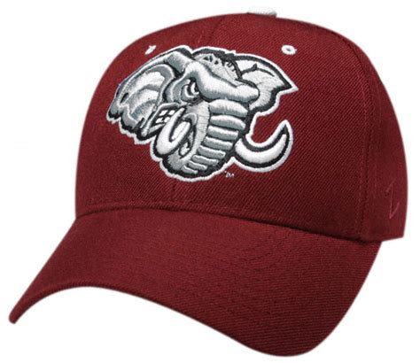 Alabama Hats - Tag Hats