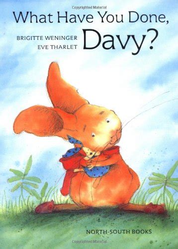 What Have You Done Davy By Brigitte Weninger E Tharlet