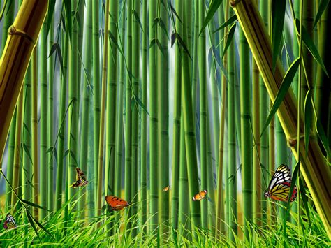 45 Bamboo Forest Wallpapers Wallpapersafari