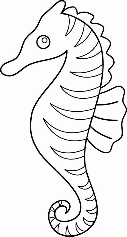 Seahorse Coloring Clip Line Sweetclipart