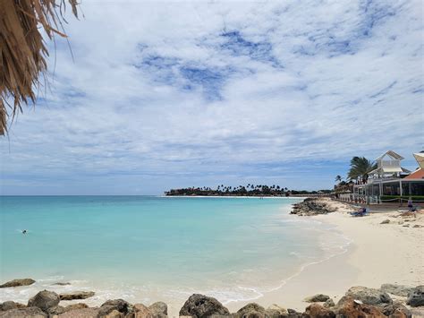 Tamarijn Aruba All Inclusive Updated 2022 Prices And Resort All