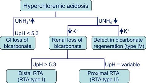 Pathophysiology Of Renal Tubular Acidosis Core Curriculum 2016