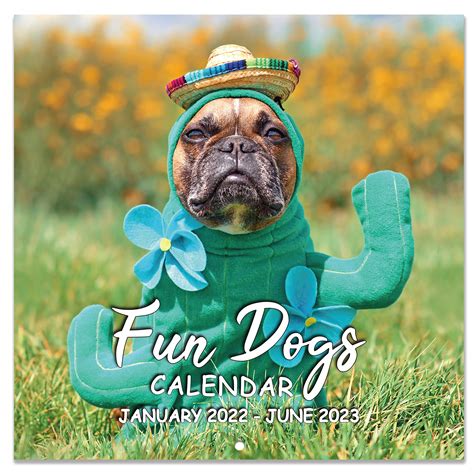 Buy 2022 2023 Wall Calendar Fun Dogs Wall Calendar 2022 2023 Cute