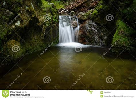 Waterfall And Rocks Covered With Moss In The Forest Stock Photo Image