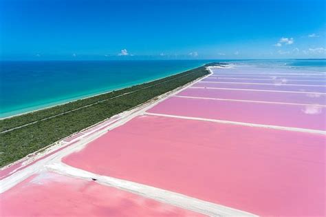 Vergleichen sie standard autovermietung in merida, mexiko mit mehr als 800 mietwagen anbietern in mexiko. Leider nicht immer pink - Las Coloradas, Rio Lagartos ...