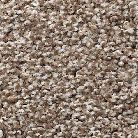 Philadelphia Balanced Carpet In Brown Sugar Nfm