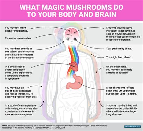 Heres What Magic Mushrooms Do To Your Body And Mind