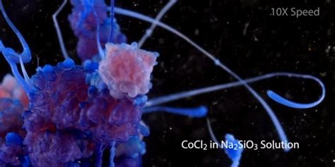 Here's Proof That Chemical Reactions Are Mind-Blowingly Beautiful ...