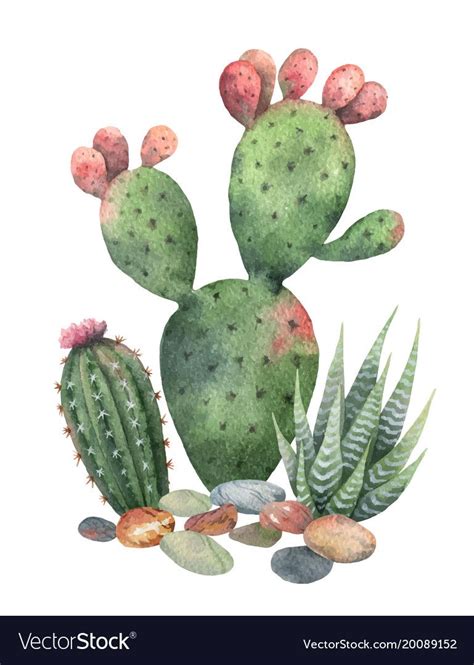 Watercolor Vector Collection Of Cacti And Succulents Plants Isolated On