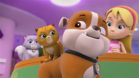 Watch Paw Patrol Pups And The Kitty Tastrophe Pups Save A Train S1 E1