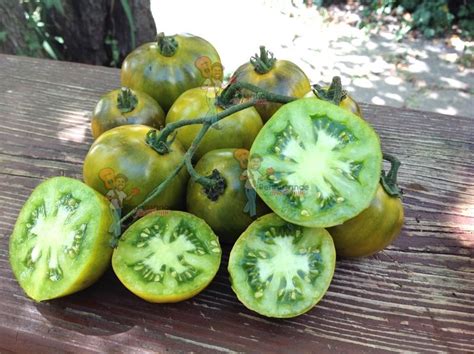 Tar Tops Tomato Renaissance Farms Heirloom Tomato Seeds Heirloom