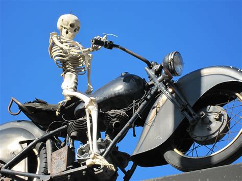 Motorcycle Skeleton Bike Bone Motorbike Skull Vehicle Riding