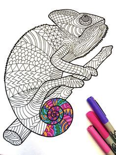 Maybe you would like to learn more about one of these? Free coloring page coloring-adult-cameleon-patterns. A magnificien cameleon to color, drawn with ...