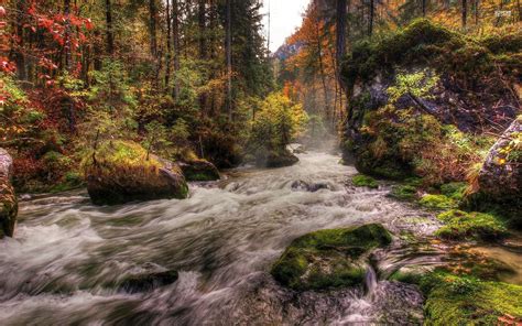 Free Download Forest River Wallpapers Forest River Stock Photos