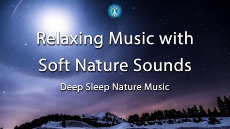 Nature Sleep Music Relaxing Music With Soft Nature Sounds Great Music Nature Sounds