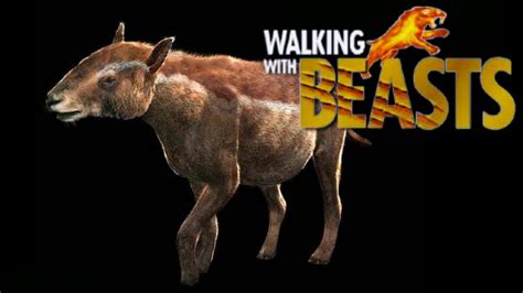 Walking With Beasts 2001 Propalaeotherium Screen Time Youtube