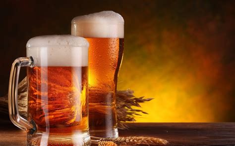 Beer Adjuncts Market Trends And Opportunities