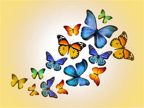 Free Download Butterflies 4k Hd Desktop Wallpaper For 4k Ultra Hd Tv Wide 4096x3072 For Your