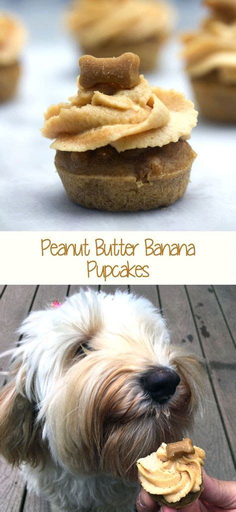 Peanut Butter Banana Pupcakes Have A Dog Who Deserves An Extra