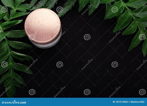 Face Cream And Fresh Leaves Stock Image Image Of Container Leaves