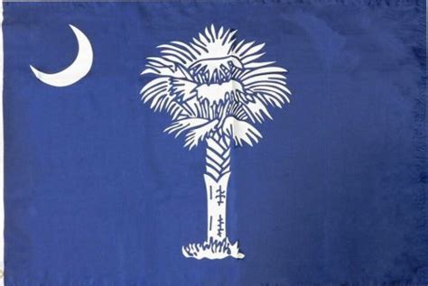 South Carolina State Flag 2020 Update Patriotic Flags