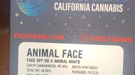 Strain Review Animal Face By Fig Farms 2023 The Highest Critic