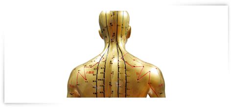 Acupuncture Singapore, TCM Acupuncture Clinic in Singapore | Ma Kuang Singapore