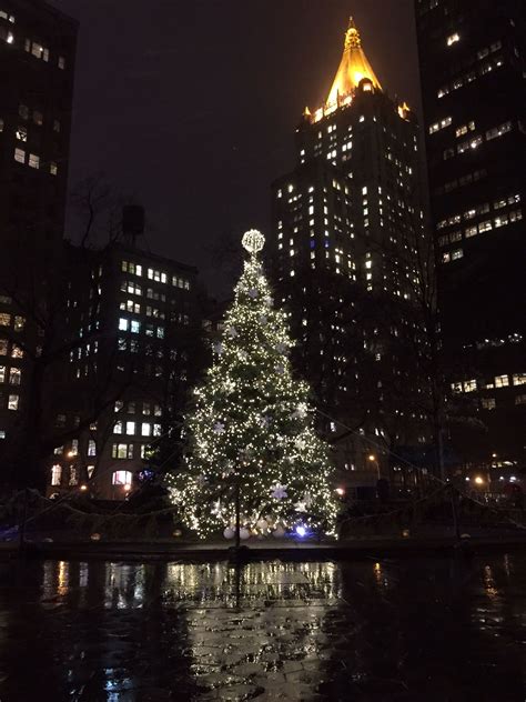 Christmas Tree At Madison Square Park Nyc Christmas Dreaming Xmas Pictures Nyc Christmas