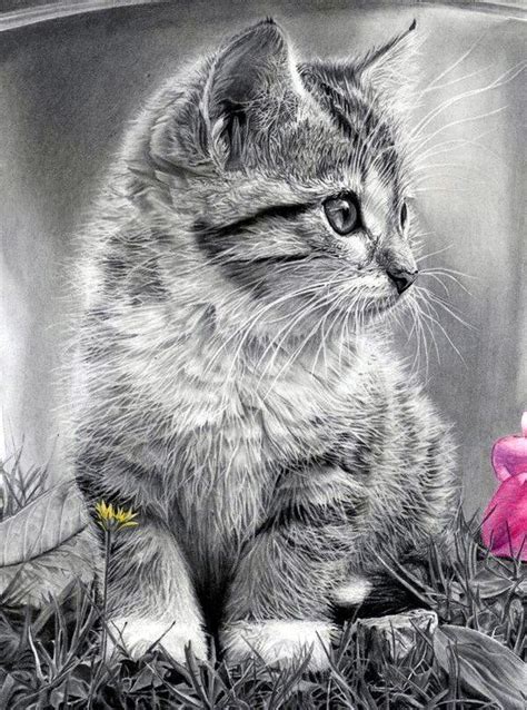 40 Realistic Animal Pencil Drawings Cat Art Pencil Drawings Of