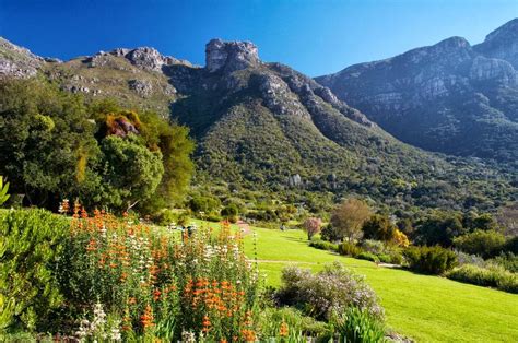 Offizieller account von south african tourism de, at & ch. Kirstenbosch Gardens - Cape Town - South Africa
