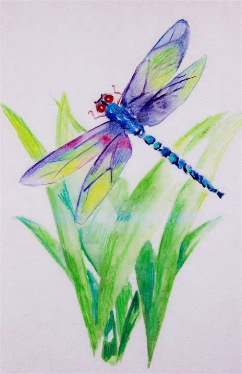 Famous How To Draw A Dragonfly On A Flower Ideas