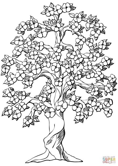 Flowering apple tree coloring page. Weeping Cherry Blossom Tree Coloring Pages for Kids ...