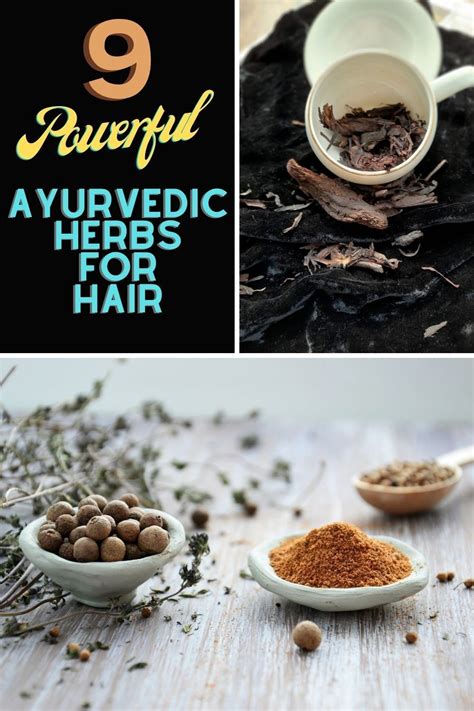 Top 9 Ayurvedic Herbs For Hair Growth And Thickness Ayurveda For Hair